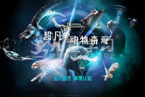 《超凡动物奇观》 中文版全6集+英文版全6集 MP4/1080P/6.15G